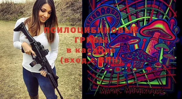 скорость Алексин