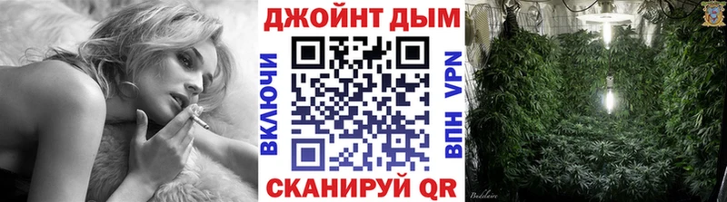 где купить наркоту  Вилючинск  Каннабис VHQ 